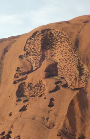 Uluru Mala Face Uluru Mala Face