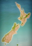 New Zealand Forest after European settlement